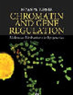 Chromatin and Gene Regulation - Turner, Bryan M.