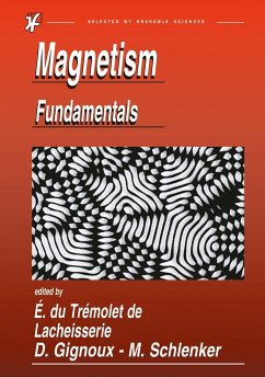Magnetism - Trémolet de Lacheisserie, Etienne du / Gignoux, Damien / Schlenker, Michel (eds.)