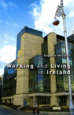 Cover Working And Living In Ireland