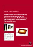 Elektrochemische Herstellung und Charakterisierung von Nanostrukturen - Entwicklung ultrascharfer STM-Spitzen als Nanoel