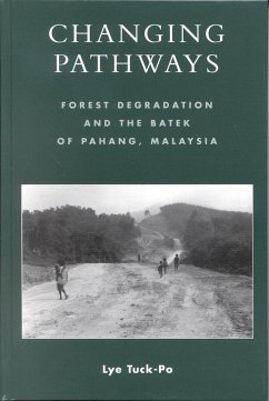 Changing Pathways - Tuck-Po, Lye
