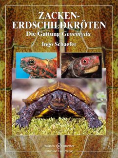 Zacken-Erdschildkröten - Schaefer, Ingo