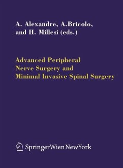 Advanced Peripheral Nerve Surgery and Minimal Invasive Spinal Surgery - Alexandre, Alberto / Bricolo, Albino / Millesi, Hanno (eds.)