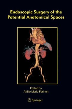 Endoscopic Surgery of the Potential Anatomical Spaces - Farinon, Attilio M. (ed.)