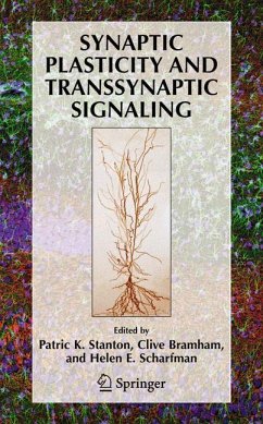 Synaptic Plasticity and Transsynaptic Signaling - Stanton, Patric K. / Bramham, Clive / Scharfman, Helen E. (eds.)