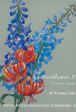 Gartenblumen / Winterharte Stauden - Klein, Ludwig;Rauh, Werner