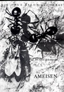 Cover Ameisen