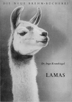 Lamas - Krumbiegel, Ingo