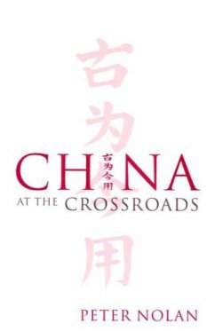 China at the Crossroads - Nolan, Peter