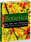 Botanica.