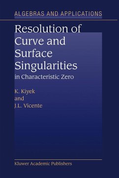 Resolution of Curve and Surface Singularities - Kiyek, K.;Vicente, J. L.