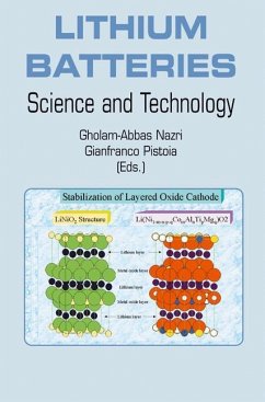 Lithium Batteries - Nazri, Gholam-Abbas / Pistoia, Gianfranco (eds.)