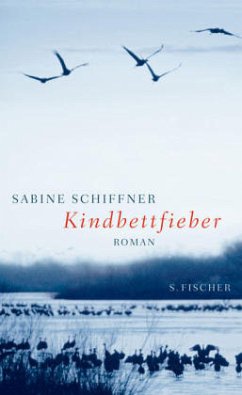 Kindbettfieber - Schiffner, Sabine