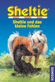 Sheltie und das kleine Fohlen / Sheltie