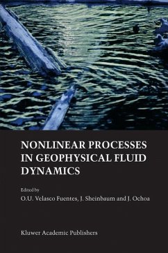 Nonlinear Processes in Geophysical Fluid Dynamics - Velasco Fuentes, O.U. / Sheinbaum, J. / Ochoa, J. (Hgg.)