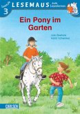 Ein Pony im Garten