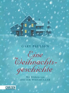 Eine Weihnachtsgeschichte - Paulsen, Gary