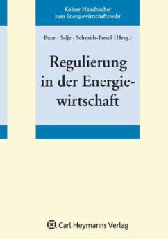 Regulierung in der Energiewirtschaft