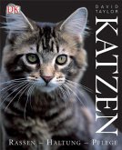 Katzen
