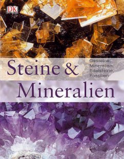 Steine & Mineralien - Bonewitz, Ronald L.