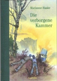 Die verborgene Kammer - Haake, Marianne