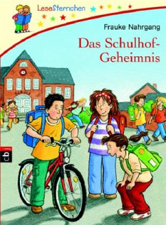 Das Schulhof-Geheimnis - Nahrgang, Frauke