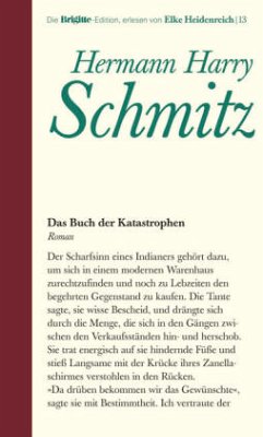 Das Buch der Katastrophen - Schmitz, Hermann H.