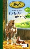 Ein Fohlen für Misty / Misty Bd.3