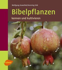 Bibelpflanzen kennen und kultivieren - Kawollek, Wolfgang; Falk, Henning