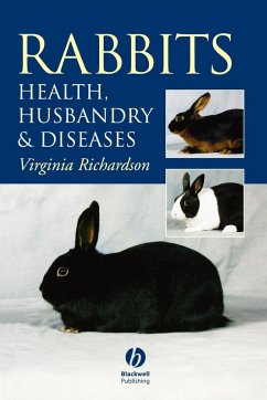 Cover Rabbits