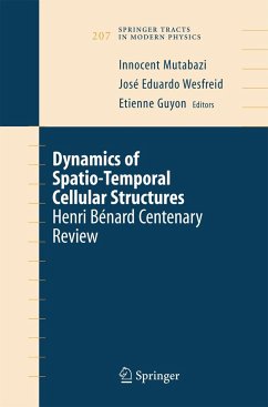 Dynamics of Spatio-Temporal Cellular Structures - Mutabazi, Innocent / Wesfreid, Jose Eduardo / Guyon, Etienne (eds.)