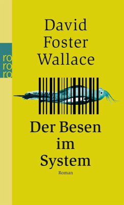Der Besen im System - Wallace, David Foster