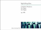 Cathedral Windows op.106, Orgel Cathedral Windows op.106, Orgel