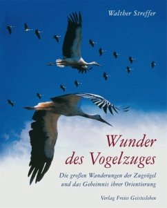 Wunder des Vogelzuges - Streffer, Walther