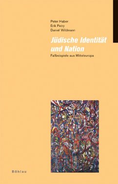 Jüdische Identität und Nation - Haber, Peter; Petry, Erik; Wildmann, Daniel