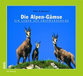 Die Alpen-Gämse