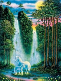 Cover Zauberwald (Puzzle)