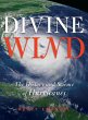 Divine Wind - Bild 1