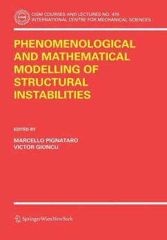Phenomenological and Mathematical Modelling of Structural Instabilities - Pignataro, Marcello / Gioncu, Victor (eds.)