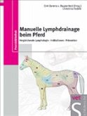 Manuelle Lymphdrainage beim Pferd