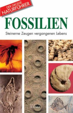 Fossilien - Teruzzi, Giorgio