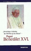 Demütiger Arbeiter im Weinberg des Herrn - Papst Benedikt XVI.