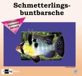 Schmetterlingsbuntbarsche Schmetterlingsbuntbarsche