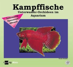 Kampffische - Schäfer, Frank