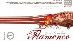 Cover Flamenco Por Derecho-Buchforma