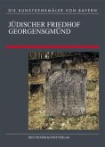 Jüdischer Friedhof Georgensgmünd / Die Kunstdenkmäler von Bayern, Neue Folge 6