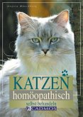 Katzen homöopathisch selbst behandeln