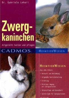 Zwergkaninchen - Lehari, Gabriele