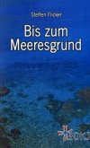 Bis zum Meeresgrund