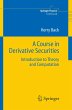 A Course in Derivative Securities - Bild 1